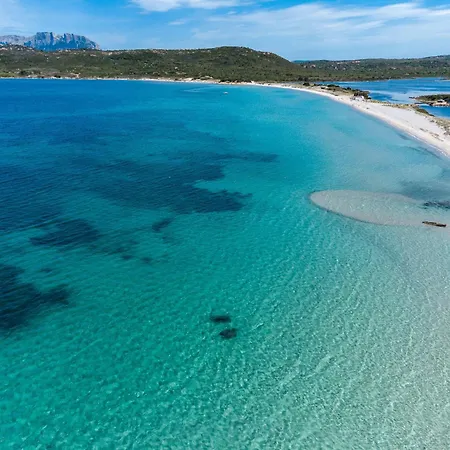 Alfiere Arc Loft By Klodge *