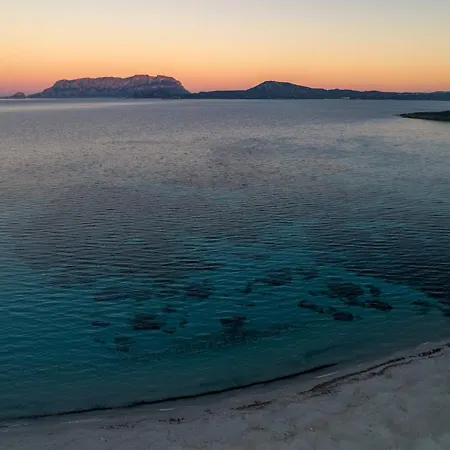 Alfiere Arc Loft By Klodge Appartement Olbia