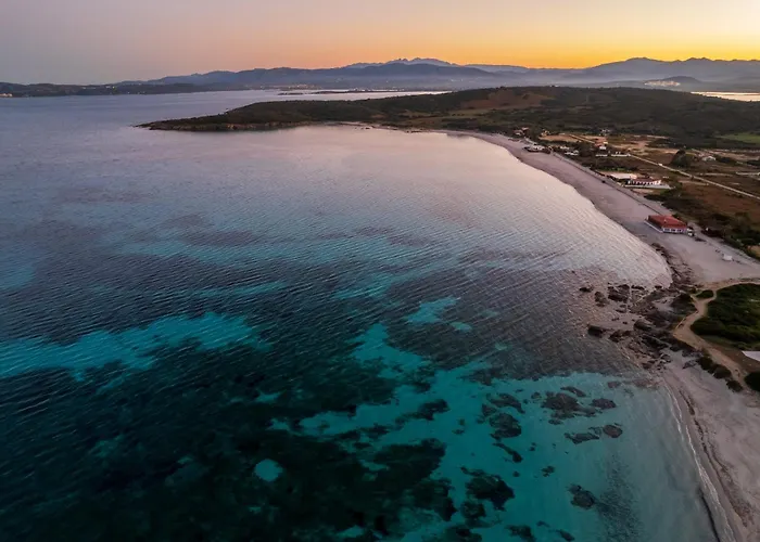 Alfiere Arc Loft By Klodge *