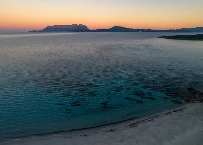 Alfiere Arc Loft By Klodge Apartment Olbia