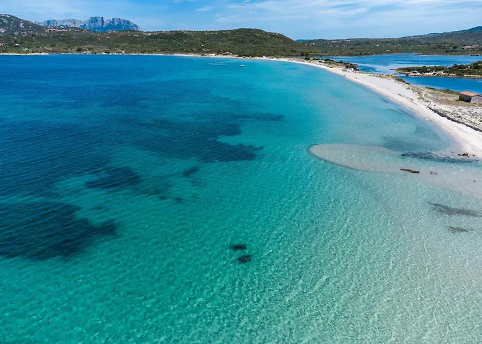 Alfiere Arc Loft By Klodge *